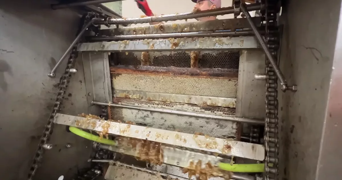 desoperculado automático de alzas de miel